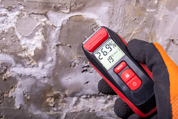 Reliable Lake Forest, IL Mold Remediation Solutions